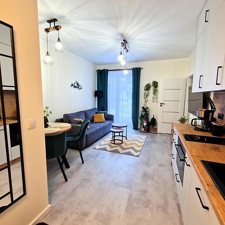 Apartament W Szklarskiej Porebie - Ostoja Parku Narodowego شكلارسكا بوريبا المظهر الخارجي الصورة